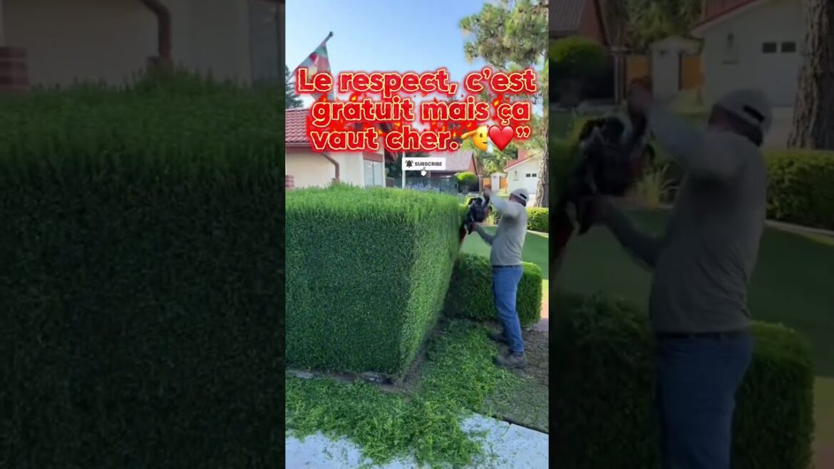 ce jour la #vuralvideo #diy #jardinlilith #ecoledejardinage #lawn ce jour la #vuralvideo #diy #jardinlilith #ecoledejardinage #lawn