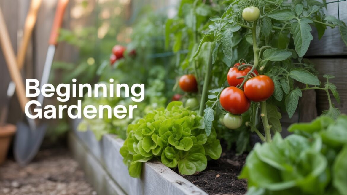 beginning gardener : tips and encouragement