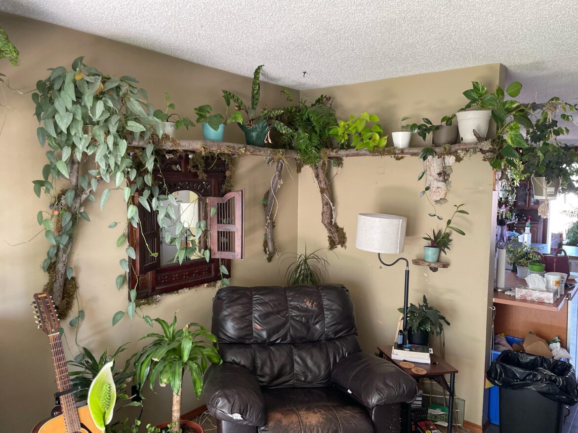 Cozy corner