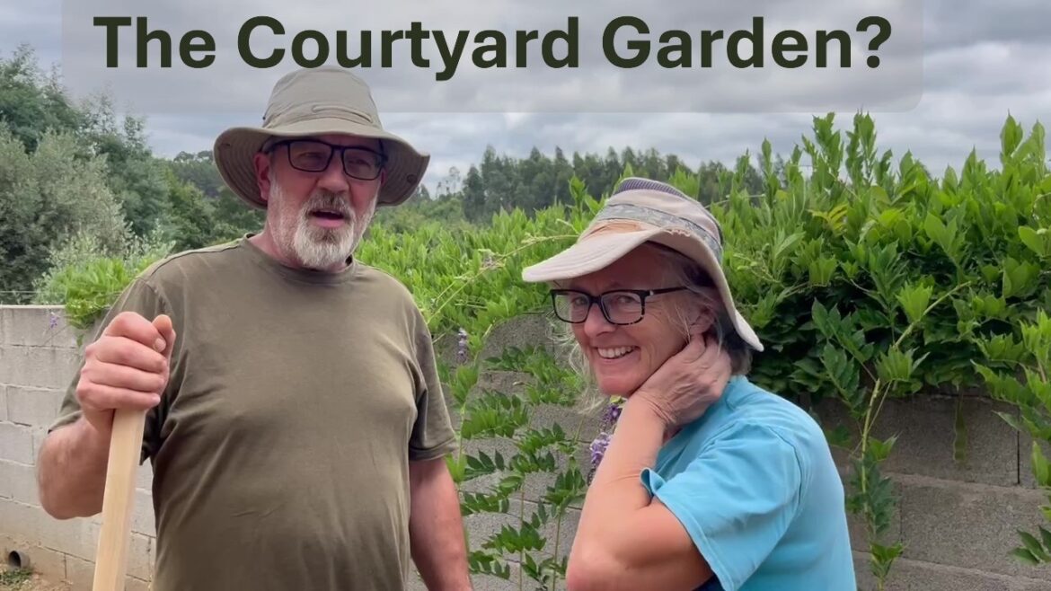 Courtyard Garden Plans -  Landscaping Begins #1