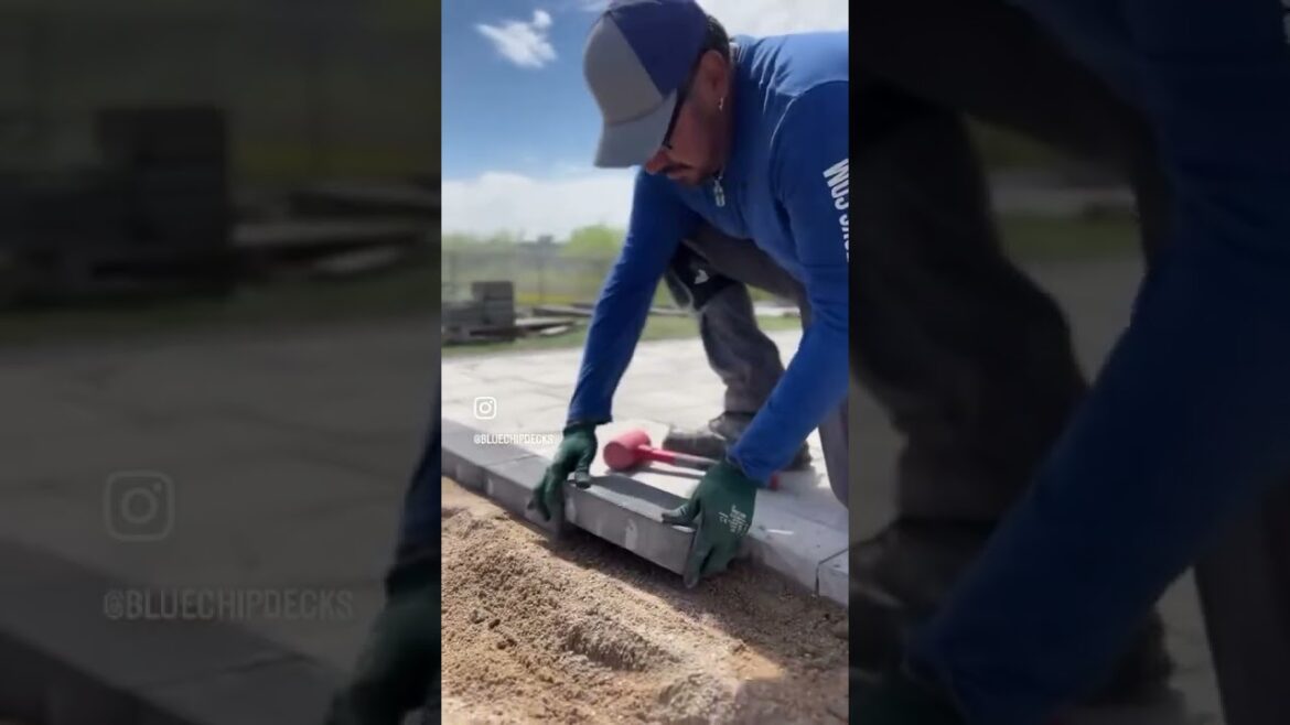 Hardscapes, Landscapes & Plants. Backyard Development For You! #backyarddesigns #backyardideas