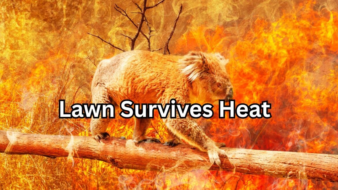 Smart Lawn Care for Hot Summers (2025) | Save Water, Time & Keep Your Garden Green Smart Lawn Care for Hot Summers (2025) | Save Water, Time & Keep Your Garden Green