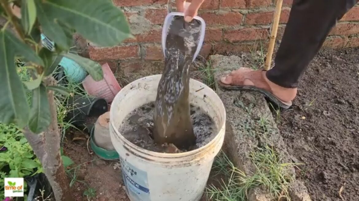 The Easiest Way to Turn ANY Compost into a Nutrient-Packed Bed! The Easiest Way to Turn ANY Compost into a Nutrient-Packed Bed!