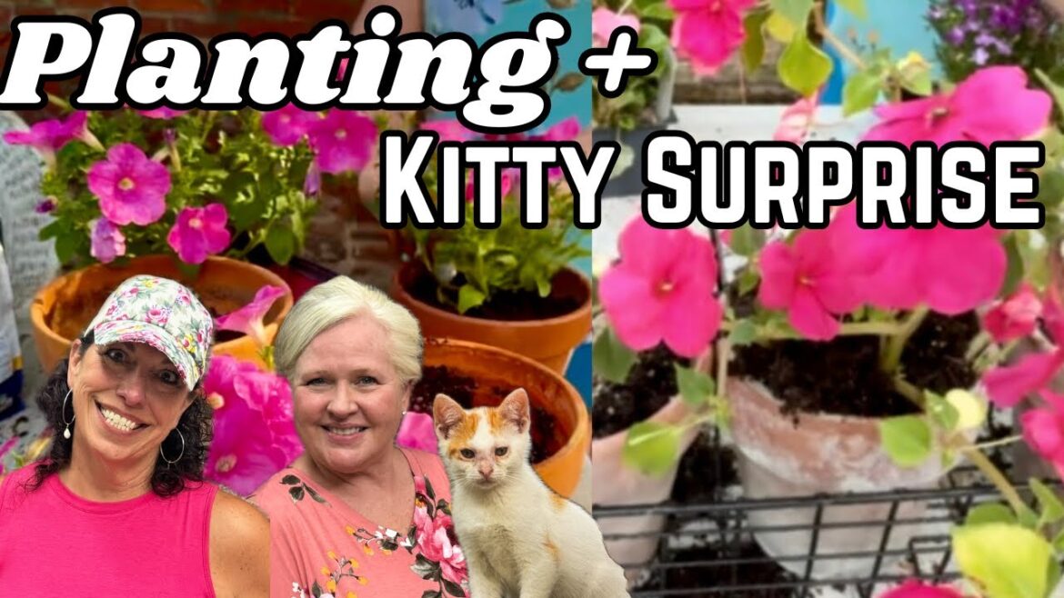 Container Garden Marathon! So Many Clay Pots….and a 🐱 Surprise Kitty !