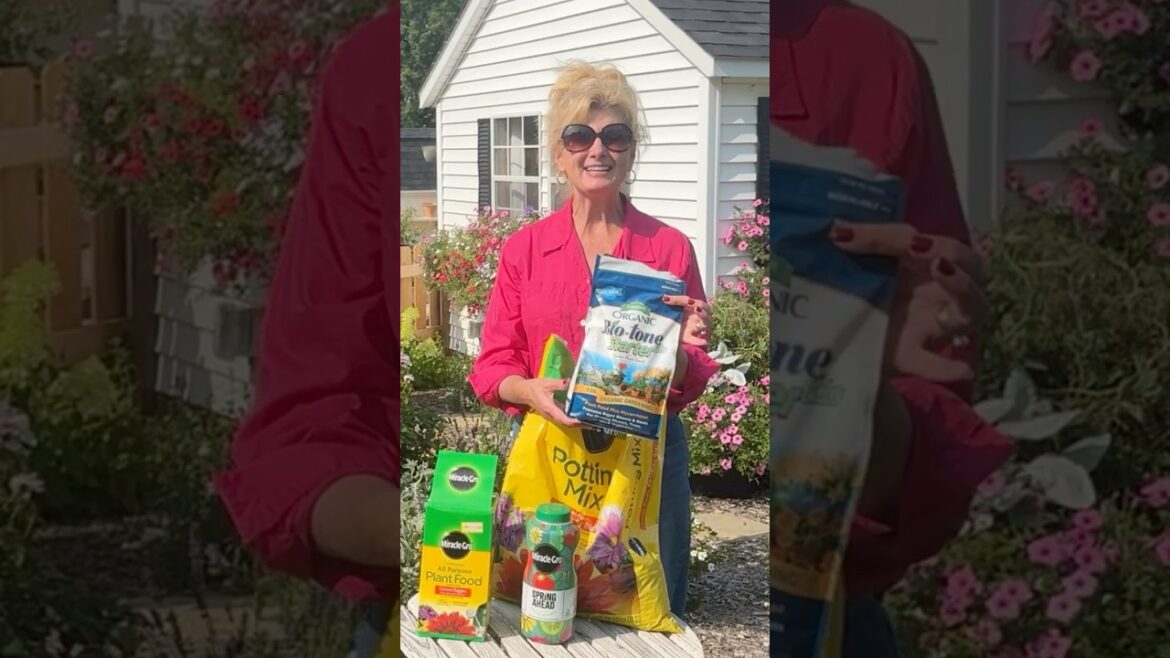 Grow Beautiful Garden Flowers! 🌸😍#garden  #flowers