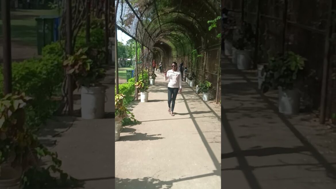 garden supplies and equipment ranig...