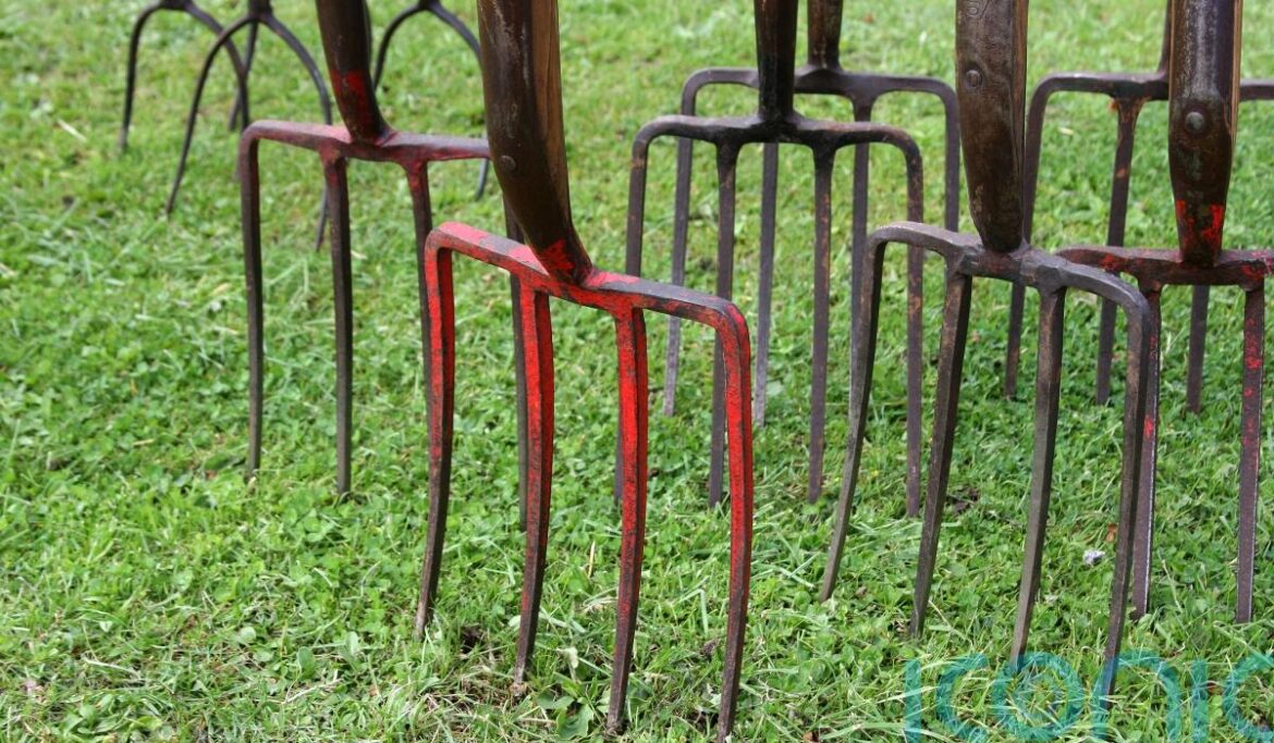 Second Hand September: How gardeners can do their bit Second Hand September: How gardeners can do their bit