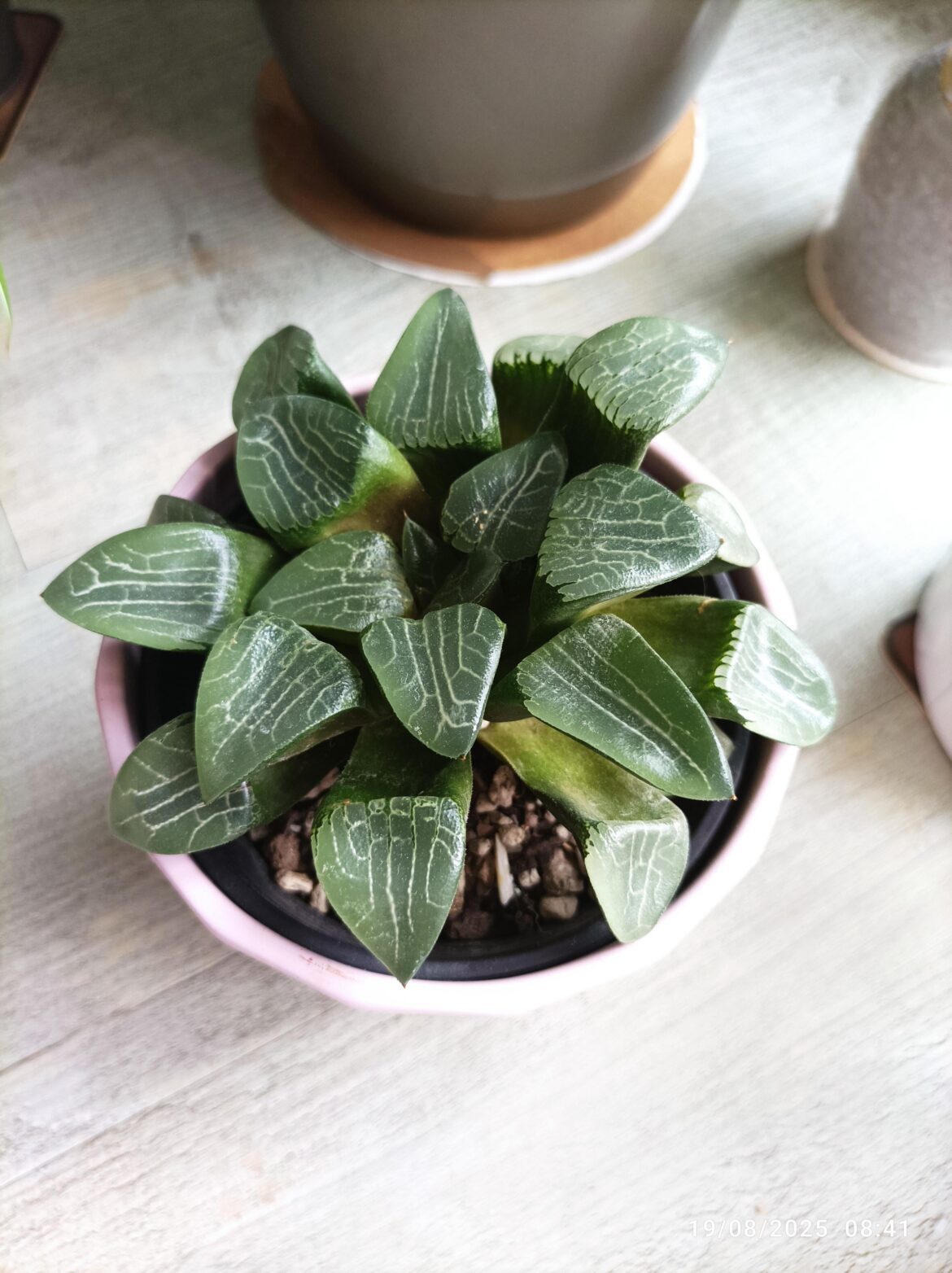 Is she in good shape? Is she in good shape?