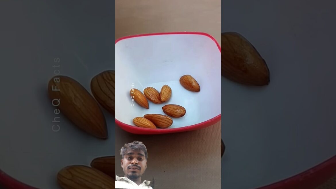 How to Grow Almond at Home from Seeds#plants#shorts#farming#shortsfeed #streetfood How to Grow Almond at Home from Seeds#plants#shorts#farming#shortsfeed #streetfood