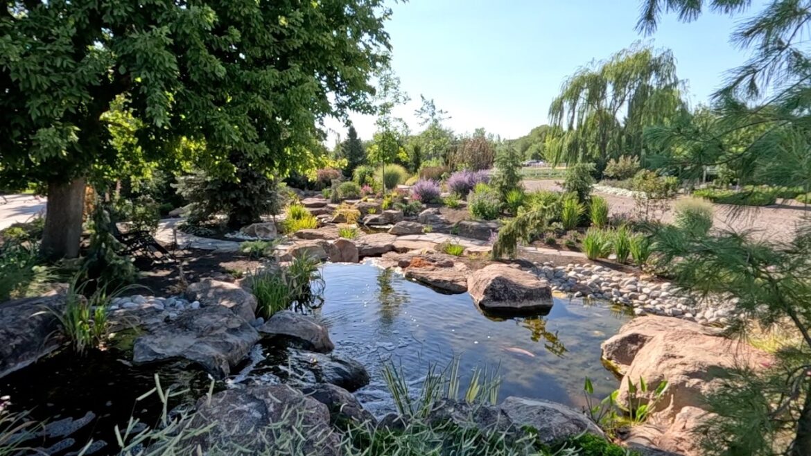Garden Answer: Tour of the Pond Area & Planting a Gator Load of Beautiful Things! 💦🌿🥰 Tour of the Pond Area & Planting a Gator Load of Beautiful Things! 💦🌿🥰