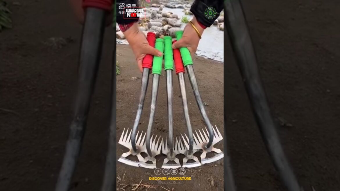 Amazing Weeding Tool for Small Farmers and Gardeners