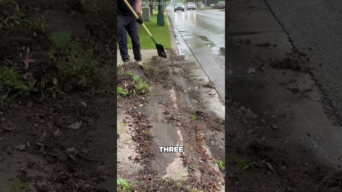 Rain Left Her Backyard a Mess