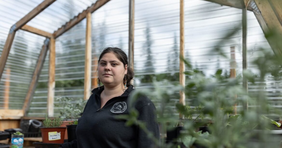 As climate change upends subsistence, Alaska tribes and villages turn to gardens