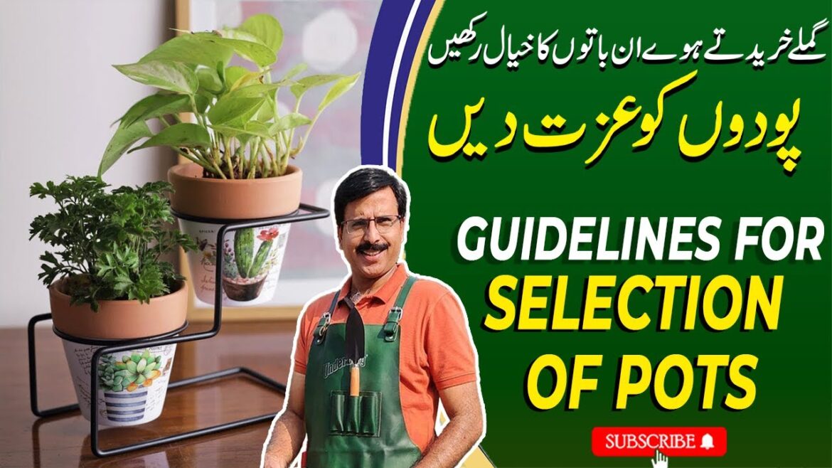 Selection Of Pots | Tips and Guidelines For Pots For House Plants | Gardening With Javed Iqbal Selection Of Pots | Tips and Guidelines For Pots For House Plants | Gardening With Javed Iqbal