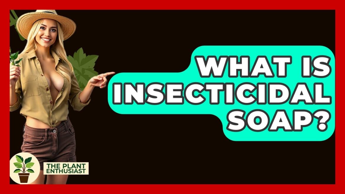 What Is Insecticidal Soap? – The Plant Enthusiast What Is Insecticidal Soap? - The Plant Enthusiast