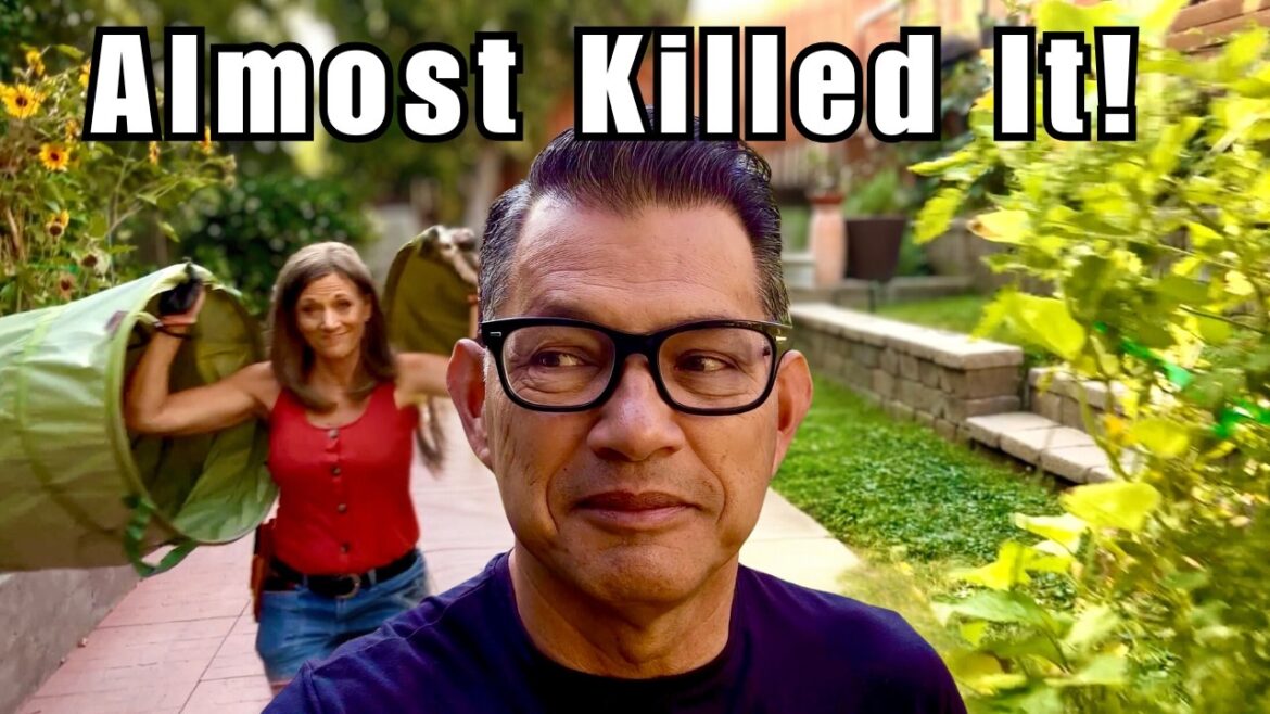 CaliKim: He Almost Killed My Passion Fruit! | CaliKim UnCut 3 He Almost Killed My Passion Fruit! | CaliKim UnCut 3