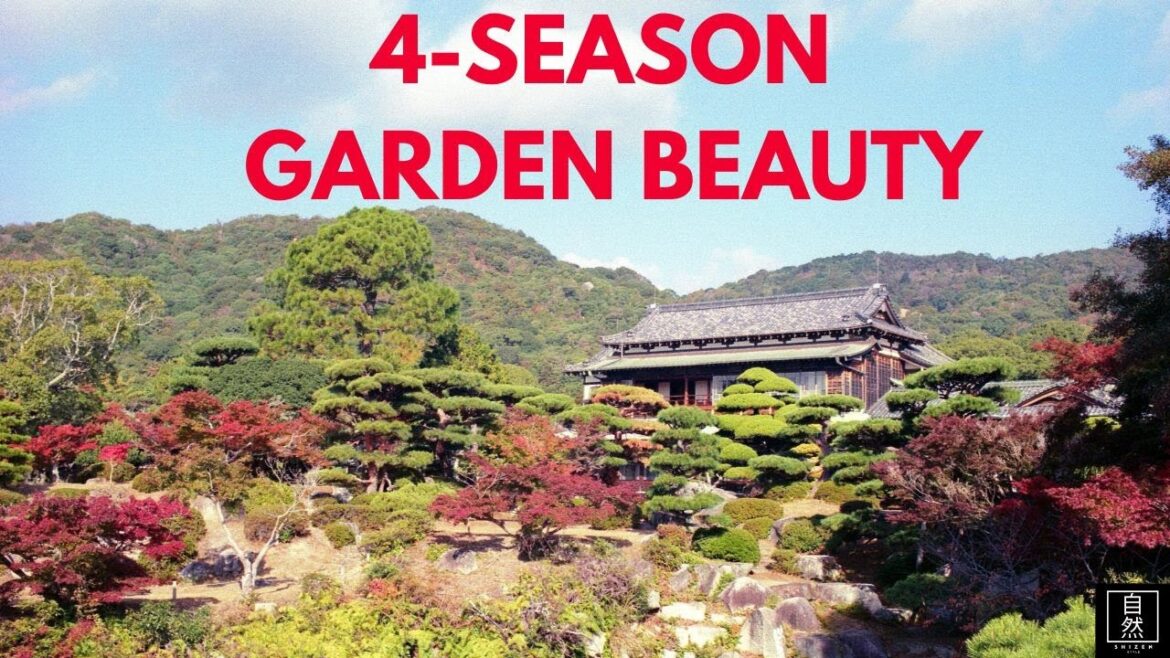 3 Mistakes Killing Your Japanese Garden's Seasonal Beauty (And How to Fix Them)