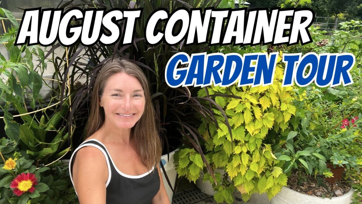 August Container Garden Tour