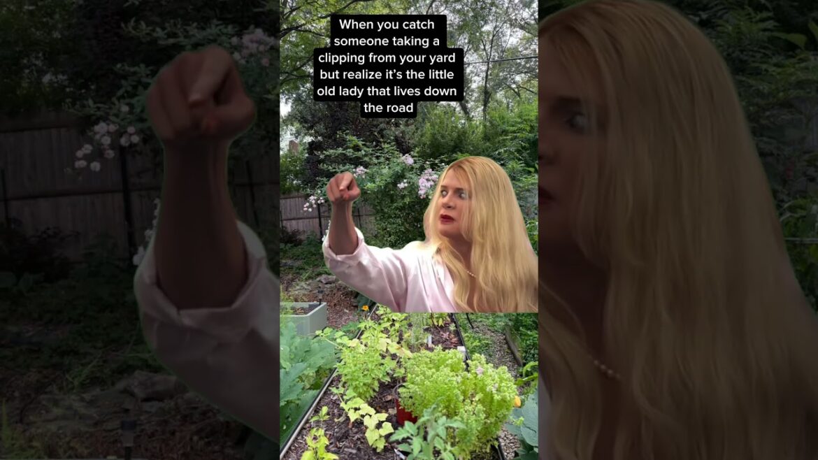 Don’t steal plant cuttings #planthaul #gardendesign #gardeninspiration #garden #gardenplants #plants