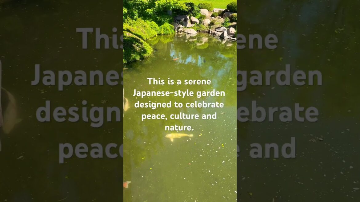 Inspired By Traditional Japanese Garden! Can You Guess the Name? #shortsfeed #trending #shorts