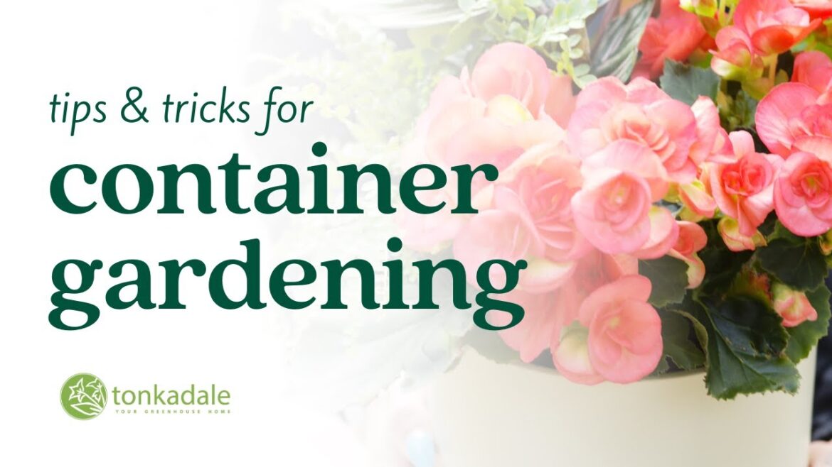 Container Gardening Tips & Tricks
