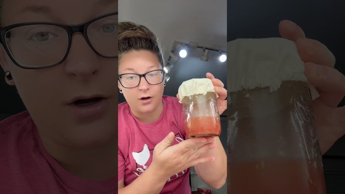 Tomato seed saving tips 🍅 #seedsaving #garden #gardentips #homestead