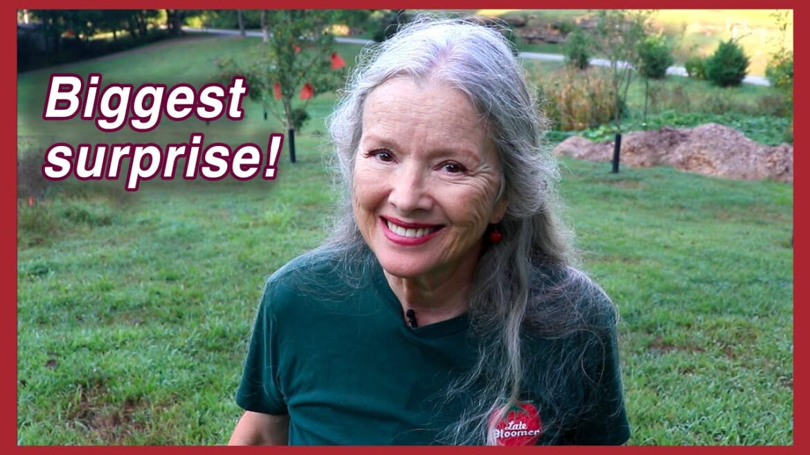 I NEVER expected THIS + Mid-August Garden Update