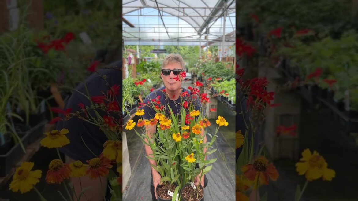 5 Perennial Pairings for That Designer Look