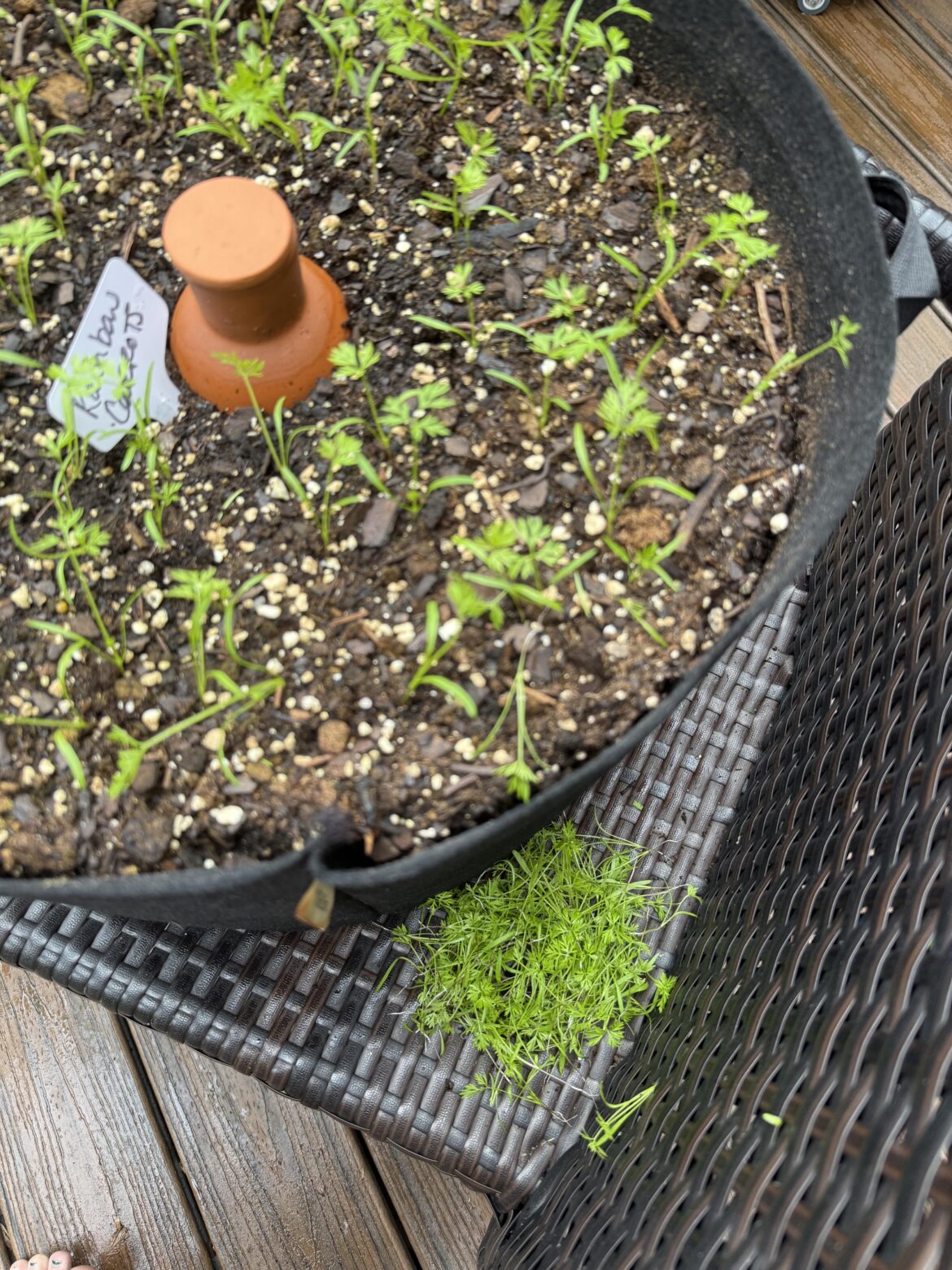 Feel bad for me Feel bad for me