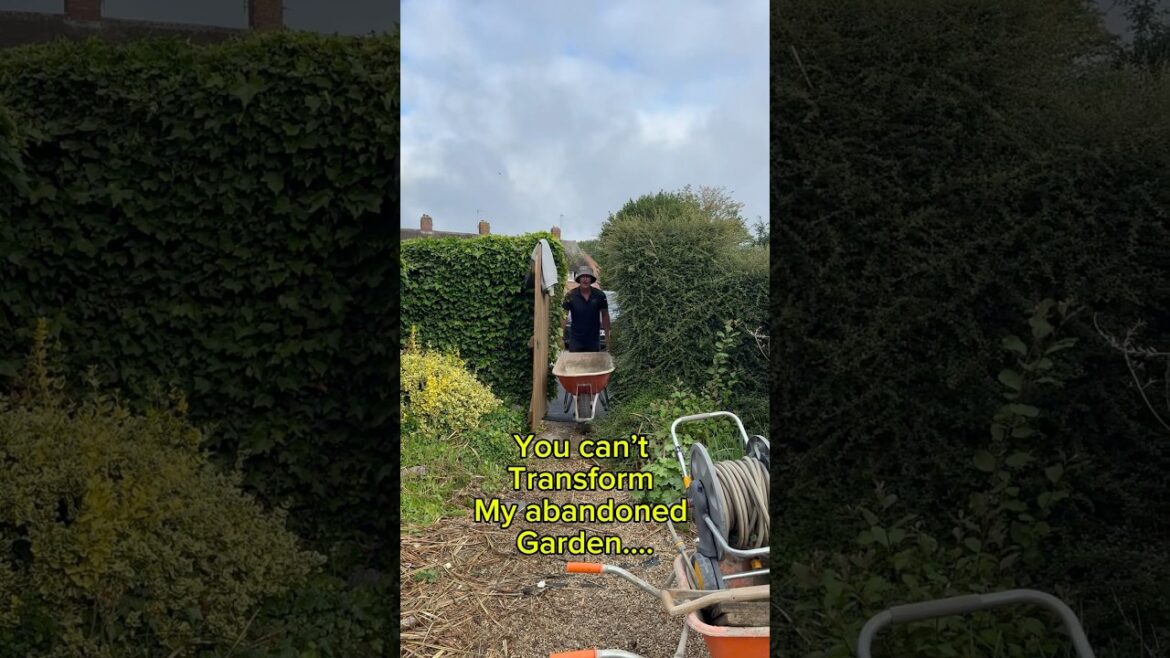 Subscribe for part 2! #diy #landscaper #landscaping #garden #patiomakeover #patio #gardendesign