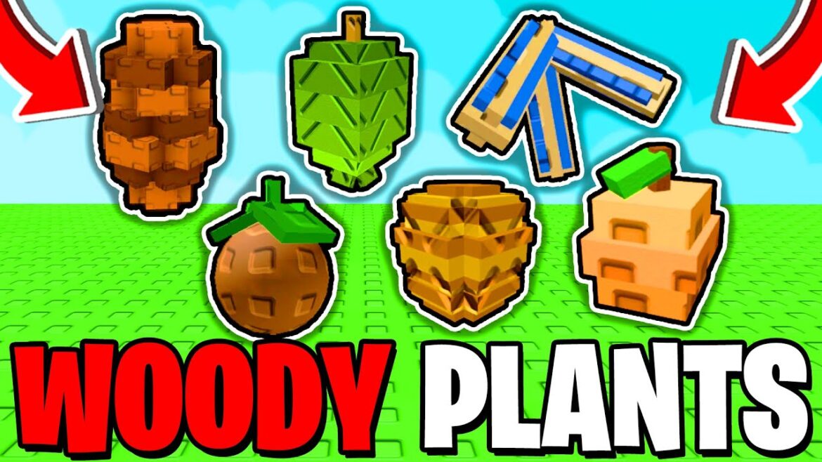 How To GET WOODY PLANTS In Grow A Garden! (BEANSTALK EVENT) Roblox How To GET WOODY PLANTS In Grow A Garden! (BEANSTALK EVENT) Roblox