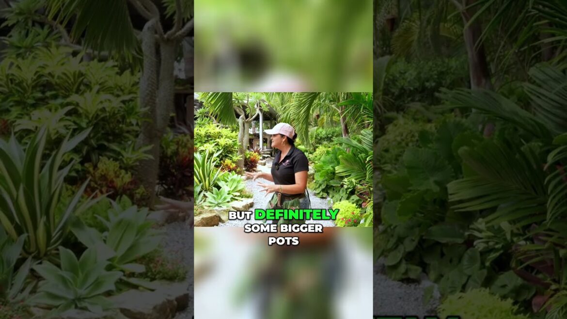 BOOST Your Garden with These Easy Plant Control Tips! #shorts