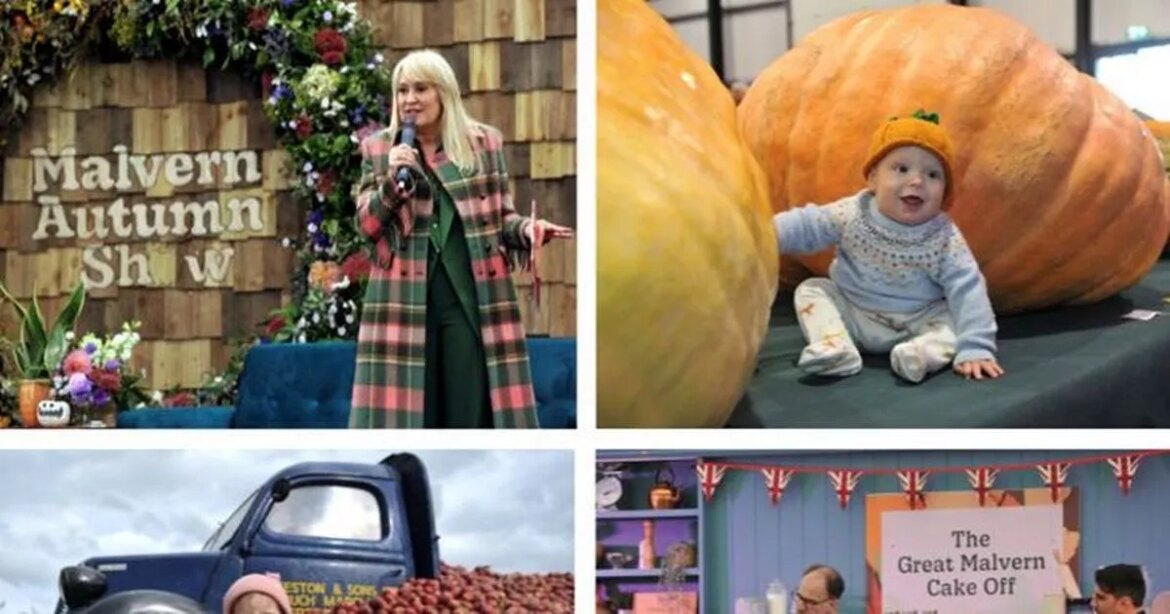 Giant veggies, Monty Don and dinosaurs await at this epic show Ipso logo