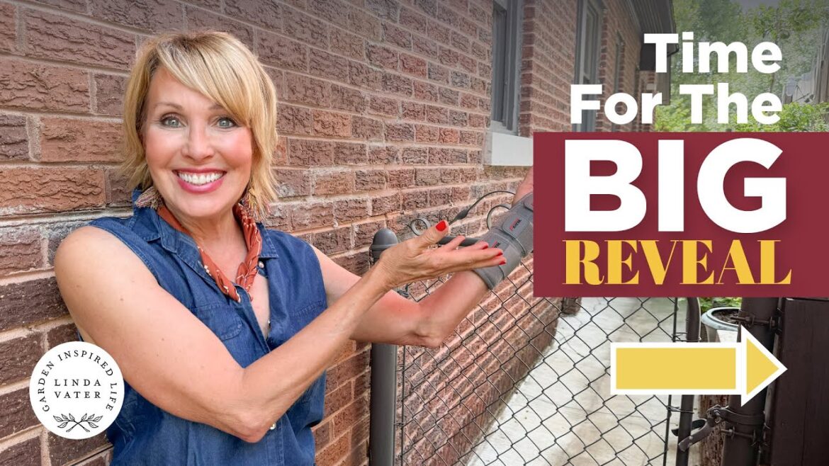 Watch My Big Garden Reveal 🌿 Watch My Big Garden Reveal 🌿