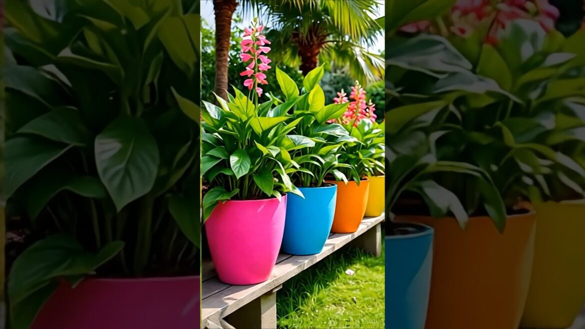 Bright Pots, Big Impact! 🌸 Small Space Gardening Hack
