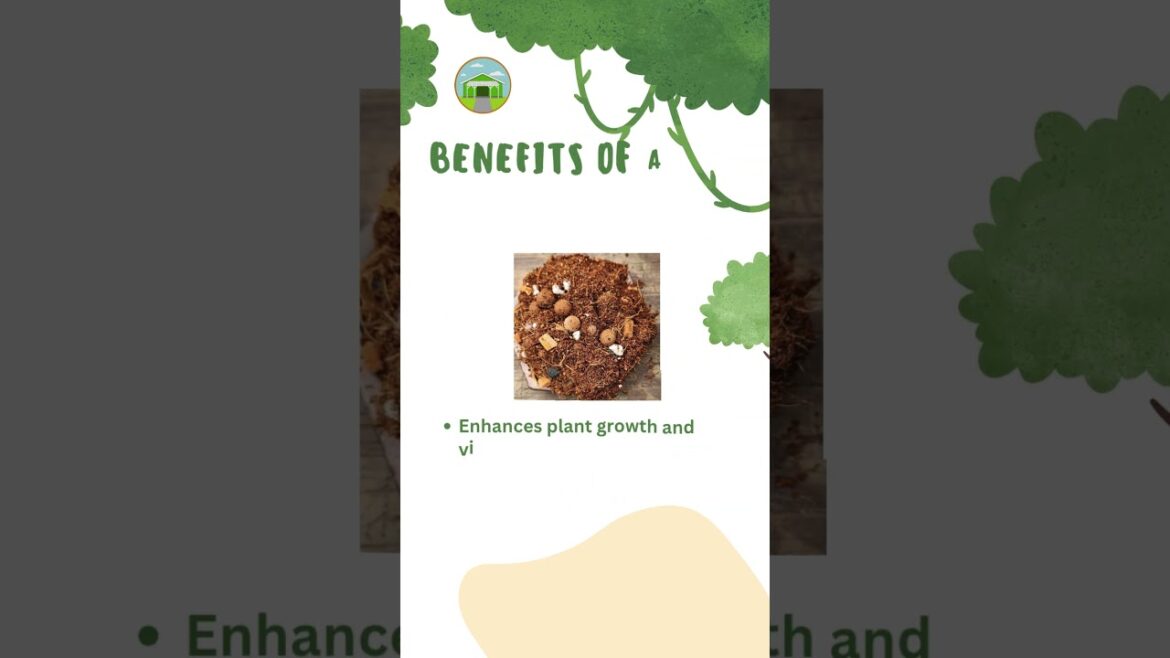 Aroid Mix: Premium Aroid Mix for Thriving Tropical Plants Aroid Mix: Premium Aroid Mix for Thriving Tropical Plants