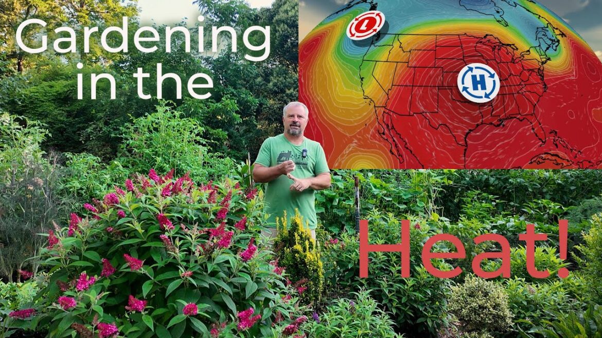 Essential Garden Tips for Hot Weather Essential Garden Tips for Hot Weather