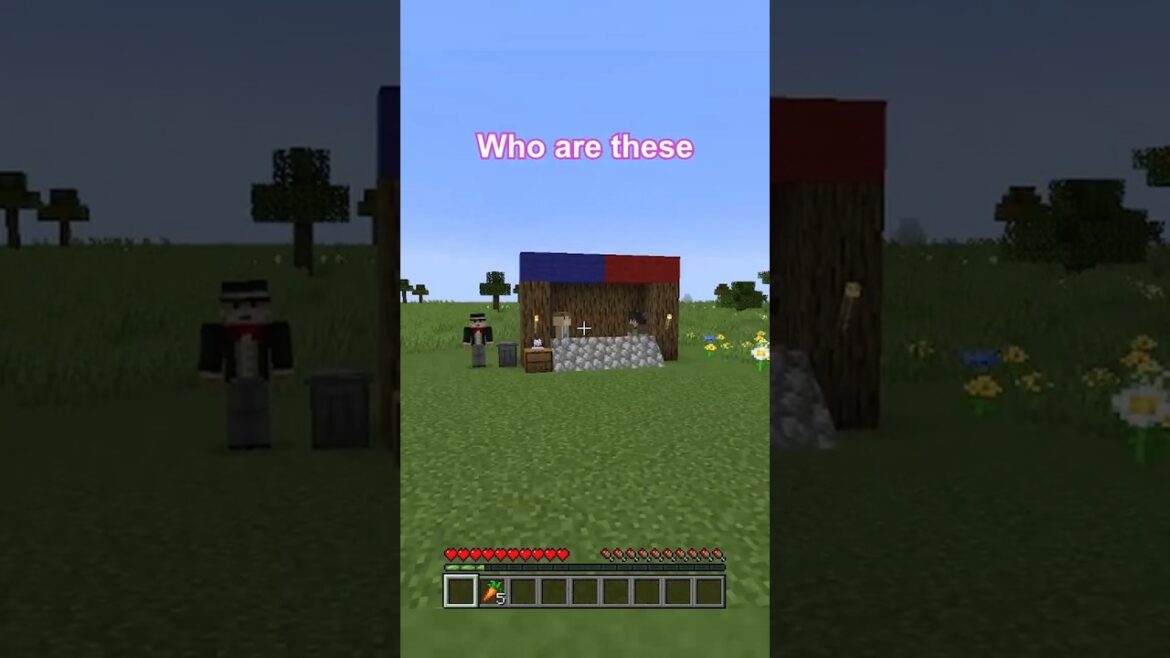 Grow a garden in MINECRAFT