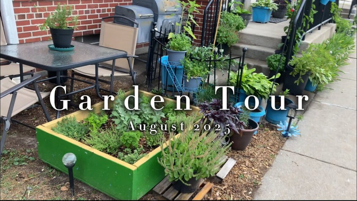 @MyHomeApothecary | Garden Tour | August 2025