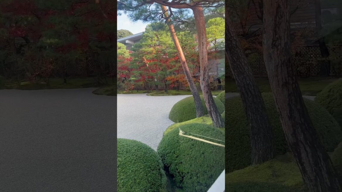 Japanese garden #gardendesign #garden #japanesegarden #short #shortsviral #travel