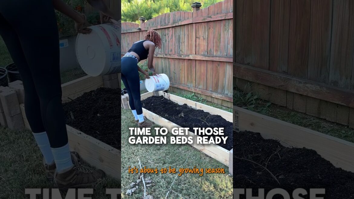 How to Start a Garden Bed With No Tools (Beginner-Friendly) How to Start a Garden Bed With No Tools (Beginner-Friendly)