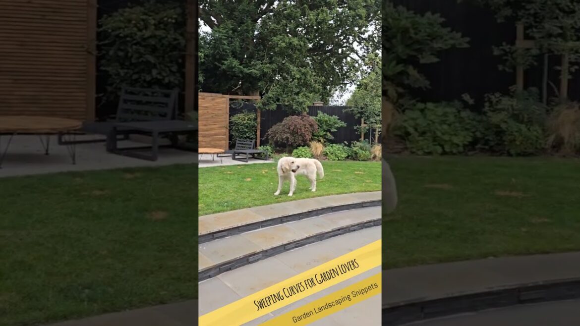 St Albans Garden Transformation | Patio, Lawn & Lush Planting for Relaxation and Entertaining