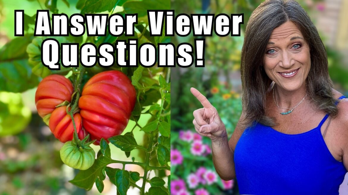 CaliKim: Your August Garden Questions Answered—With Hacks You’ll Wish You Knew Sooner Your August Garden Questions Answered—With Hacks You’ll Wish You Knew Sooner