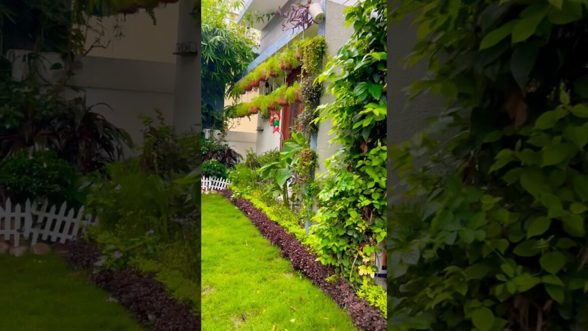 Home entrance decoration ideas #home #entrancedecor #plants #gardening #shorts #youtubeshorts