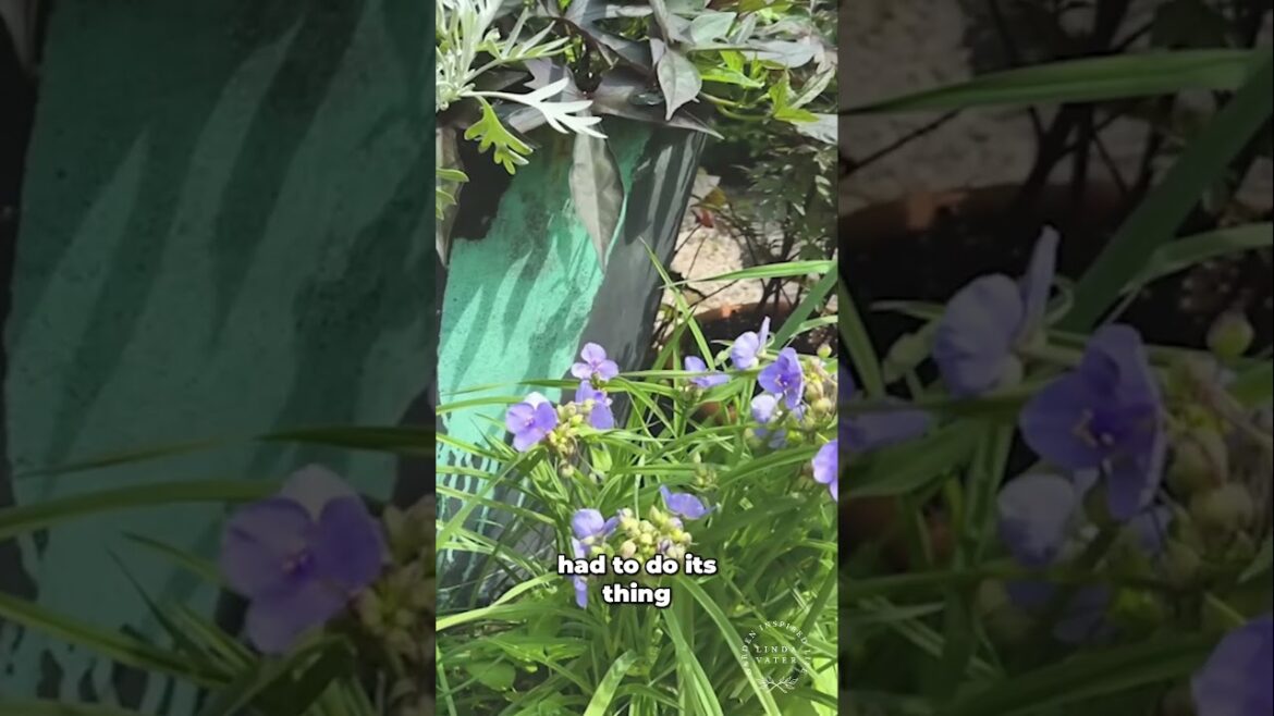 Stunning Garden Design Copper Pot Planting Ideas! #gardening #gardendelight #gardenjournal Stunning Garden Design Copper Pot Planting Ideas! #gardening #gardendelight #gardenjournal