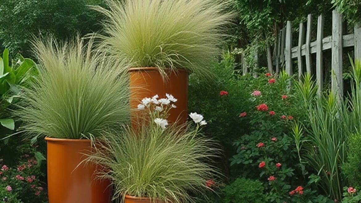 Interesting ideas for the garden. Все для садових ділянок Interesting ideas for the garden. Все для садових ділянок