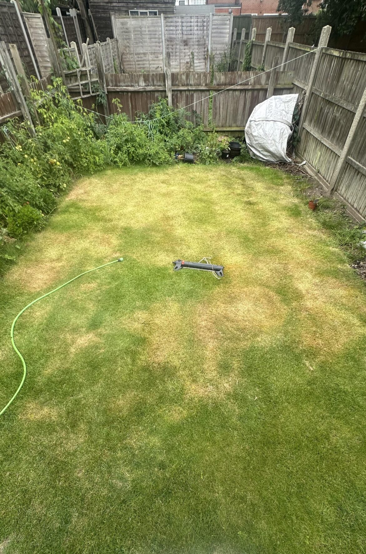 My dad is angry because my nuked lawn still looks better ๐ My dad is angry because my nuked lawn still looks better ๐