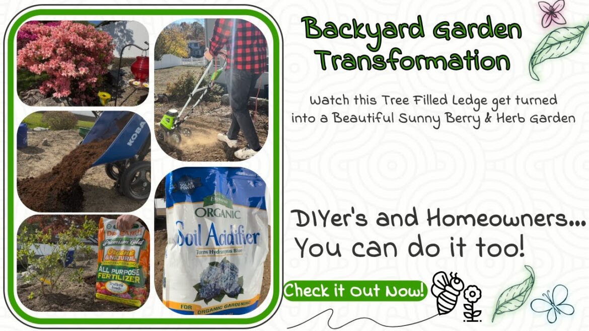 1 Year Garden Makeover (DIY Friendly & Epic Results!) 1 Year Garden Makeover (DIY Friendly & Epic Results!)