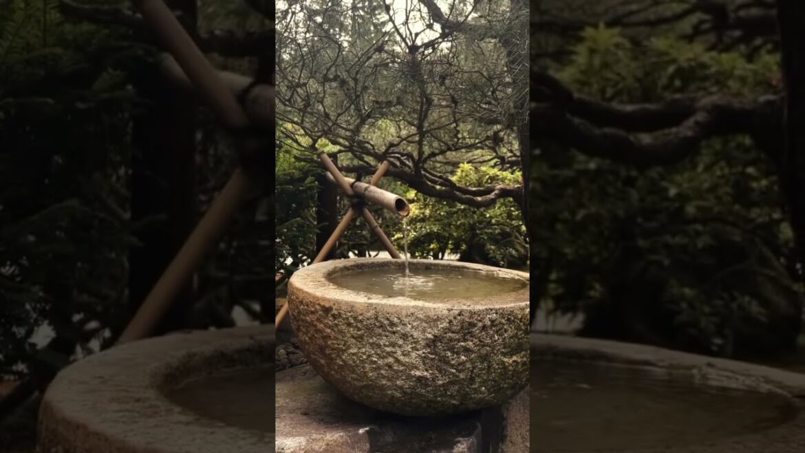 Portland Japanese Garden Walk