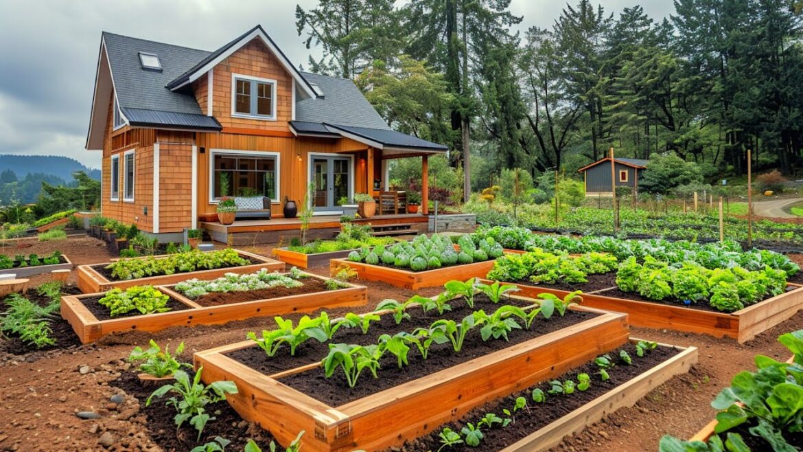 Inspiring Vegetable Gardening Ideas for 2025: Designing Small Wooden Planter Areas